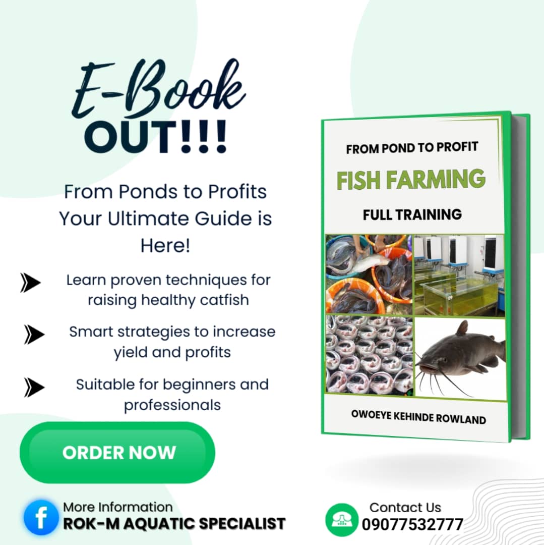 Fish Processing